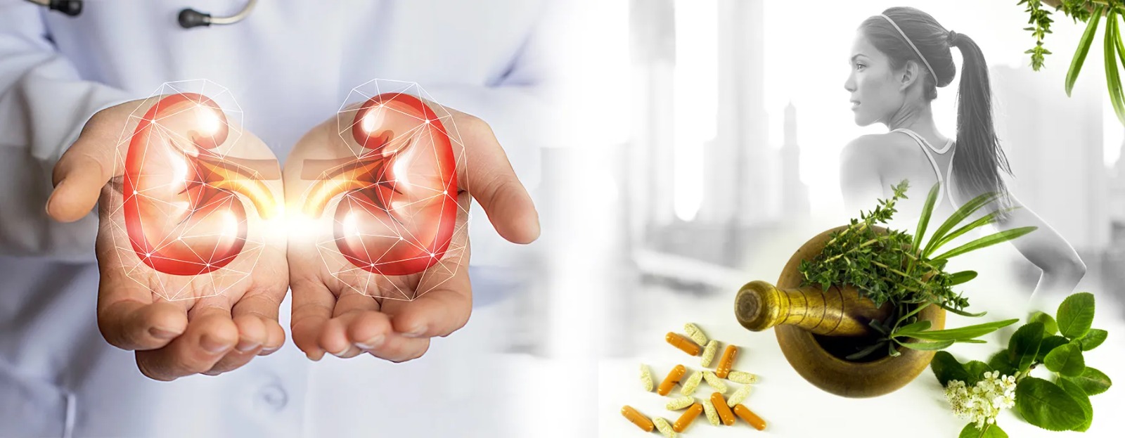 Yoga Pranayam Banner