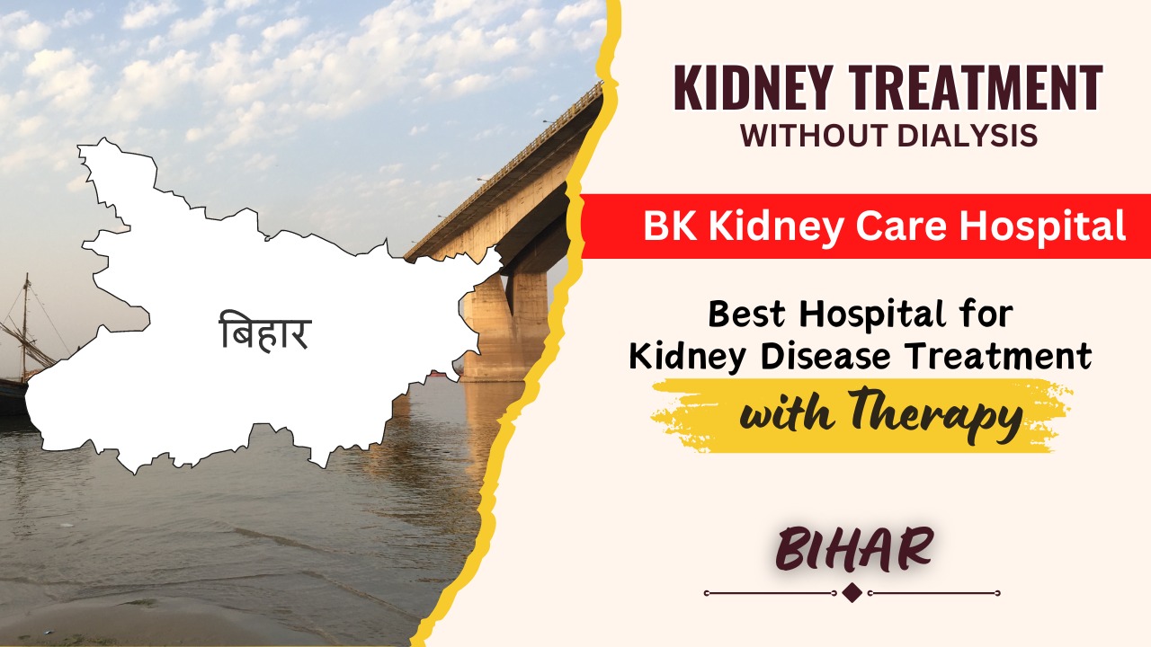 Best Ayurvedic Doctors For Kidney Treatment in Patna