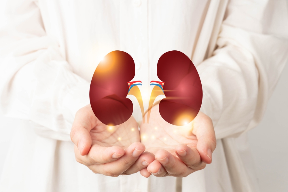 kidney-img